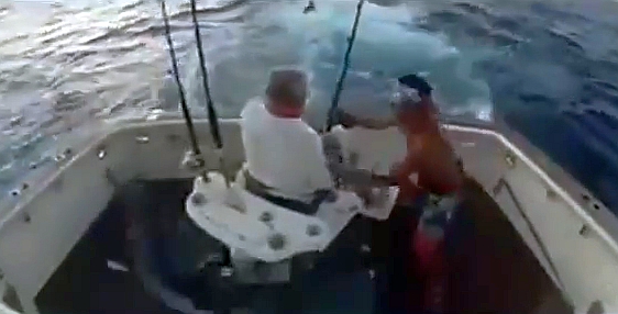 The 2013 snapper season in South Australia is closed from November 1 through until December 15. Image: Jamie Crawford